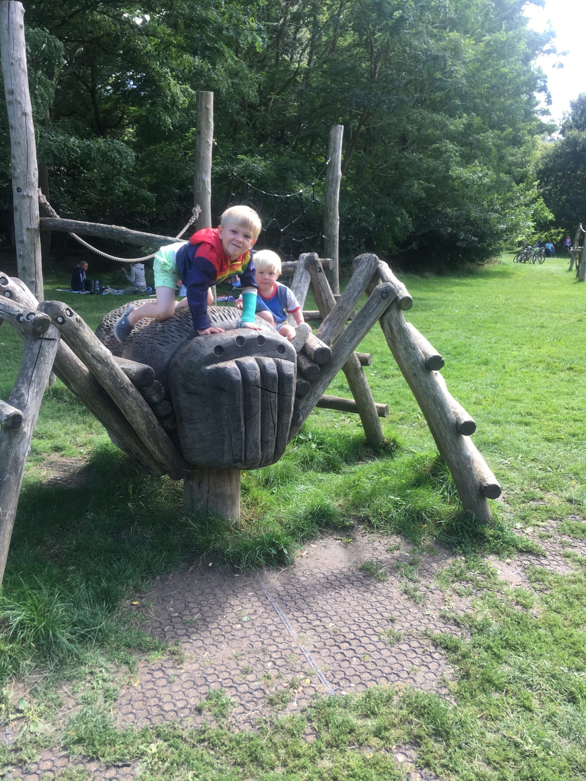 Farnham Park, Surrey, Sam and Thomas enjoying the playground